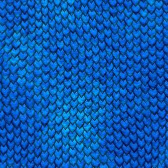 Four Dragon Scale Background Textures Mytextures