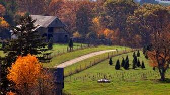 Christmas Farm Wallpaper Ctf By