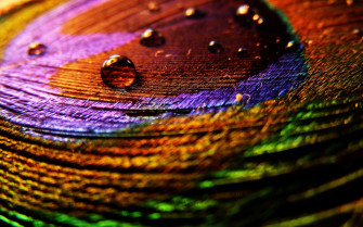 Creative Wallpaper