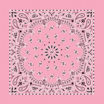 Hav A Hank Paisley Bandana Light Pink W X L Blick Art