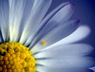 Collection Great Pictures Pure High Definition HD You Can