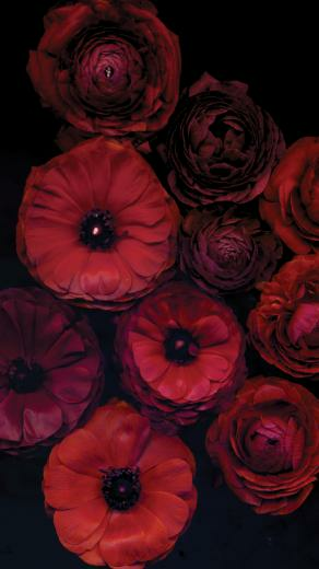 Inked Wallpaper For iPhone Plus Match Your Case