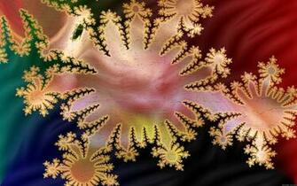 Cool Wallpaper Abstract Flowers