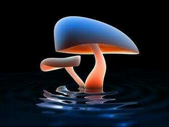 Neon Mushroom Wallpaper