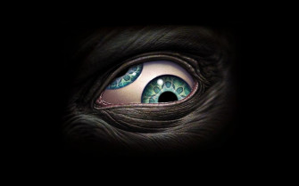 Tool Wallpaper HD