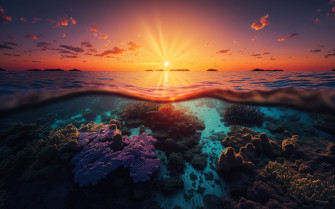 Sunset Wallpaper 4k Underwater Coral Reef Seascape