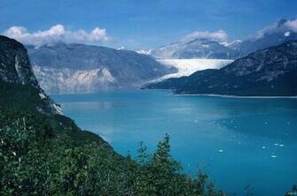 Alaska Wallpaper Wildlife Android Apps On Google Play