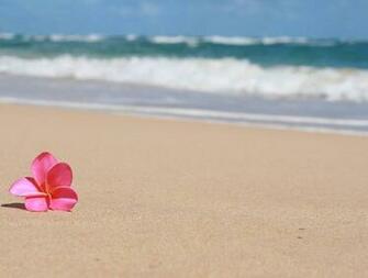 Sandy Beach Wallpaper