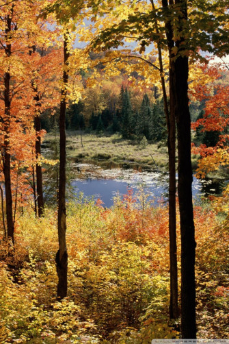 Lake Fortune Gatineau Park Quebec Canada Ultra HD Desktop