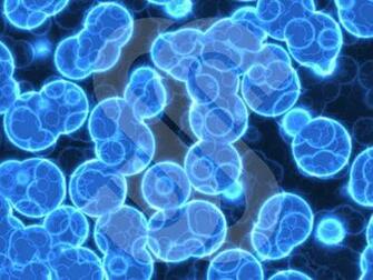 Blue Cells Background ShazamImage
