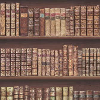 Bookshelf Wallpaper