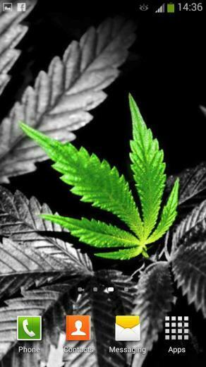 Live Wallpaper Weed