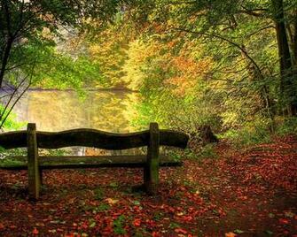 Pretty Fall Background