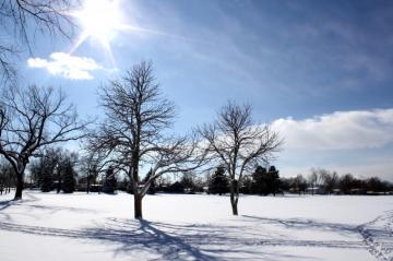 Sunny Winter Day Picture Photograph Photos Public Domain
