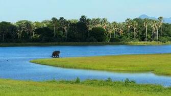 Nyika North Luangwa Peace Parks Foundation