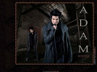 Adam Wallpaper Lambert
