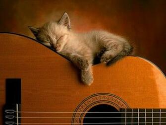 Guitar Wallpaper Superb 3d