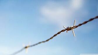 Barbed Related Keywords Amp Suggestions Long Tail
