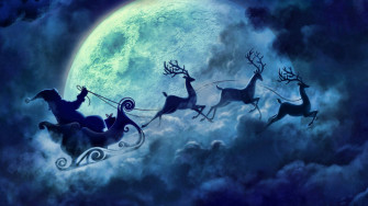 Reindeer Wallpaper
