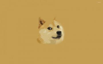 Dodge Meme Wallpaper On
