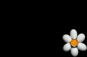 Egg Wallpaper And Background Image Id