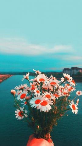 Elegant Flower Wallpaper You Need To Save Of