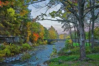 Trout Stream Wallpaper Upstate New York