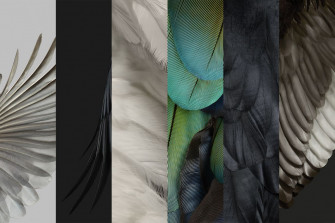 Here Are All The New Wallpaper From Pixel