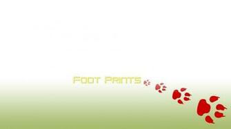 Wallpaper For Windows Xp Desk Top Foot Prints