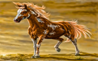 Beautiful Horse Wallpaper