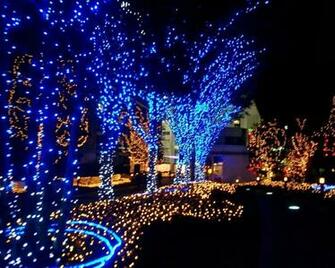 Christmas Lights Wallpaper On