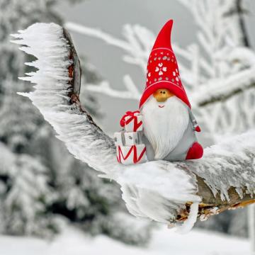 Christmas Gnome Ultra HD Desktop Background Wallpaper For 4k UHD