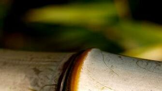 Zen Wallpaper Widescreen Weddingdressin