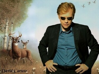 David Caruso Wallpaper Csi Miami