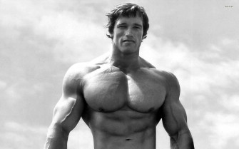 Arnold Wallpaper Image