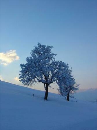 Calm Winter Traveler Photo Contest National Geographic