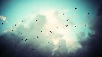Birds Silhouettes On A Cyan Sky Wallpaper