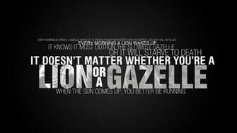 Gazelle Wallpaper Lion Desktop