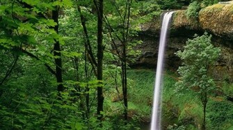 Green Forest Waterfall Wallpaper