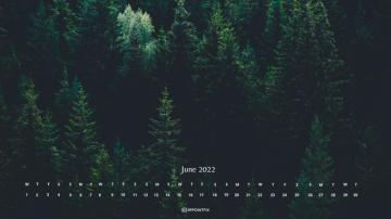 June Calendar Wallpaper Desktop Mobile