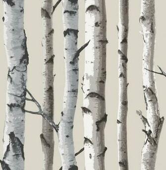 Fine Decor Birch Tree Sample Fd31051 Cut Price Wallpaper Crewecut