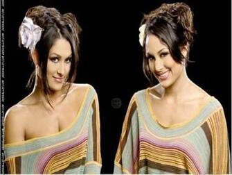 Brie Bella And Nikki Wallpaper