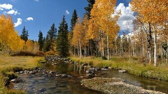 Fall Scenes Wallpaper