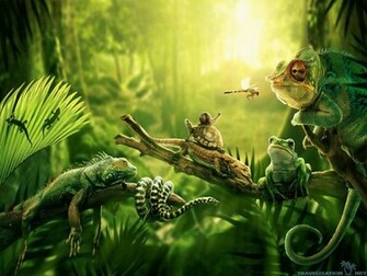 Related Pictures Natural Jungle Wallpaper Murals Car