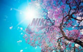 Pics Photos Nike Sb Logo HD Wallpaper