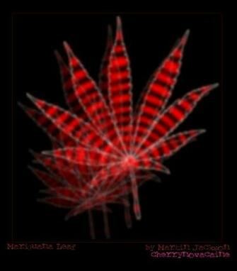 Trippy Weed Leaf Wallpaper Marijuana By