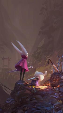 Hollow Knight Hornet 4k Phone iPhone Wallpaper 204a