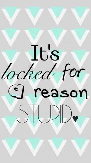 Its Locked For A Reason Stupid Funny iPhone Wallpaper Locks