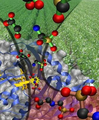 Biochemistry Wallpaper