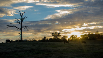 A Simple Peaceful East Texas Sunset 4k Wallpaper